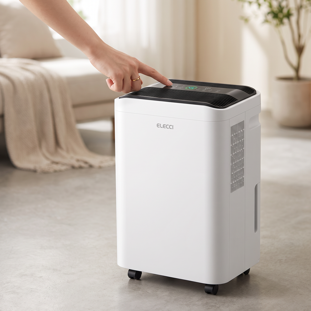 Déshumidificateur grande capacité 26 L — échelle réelle