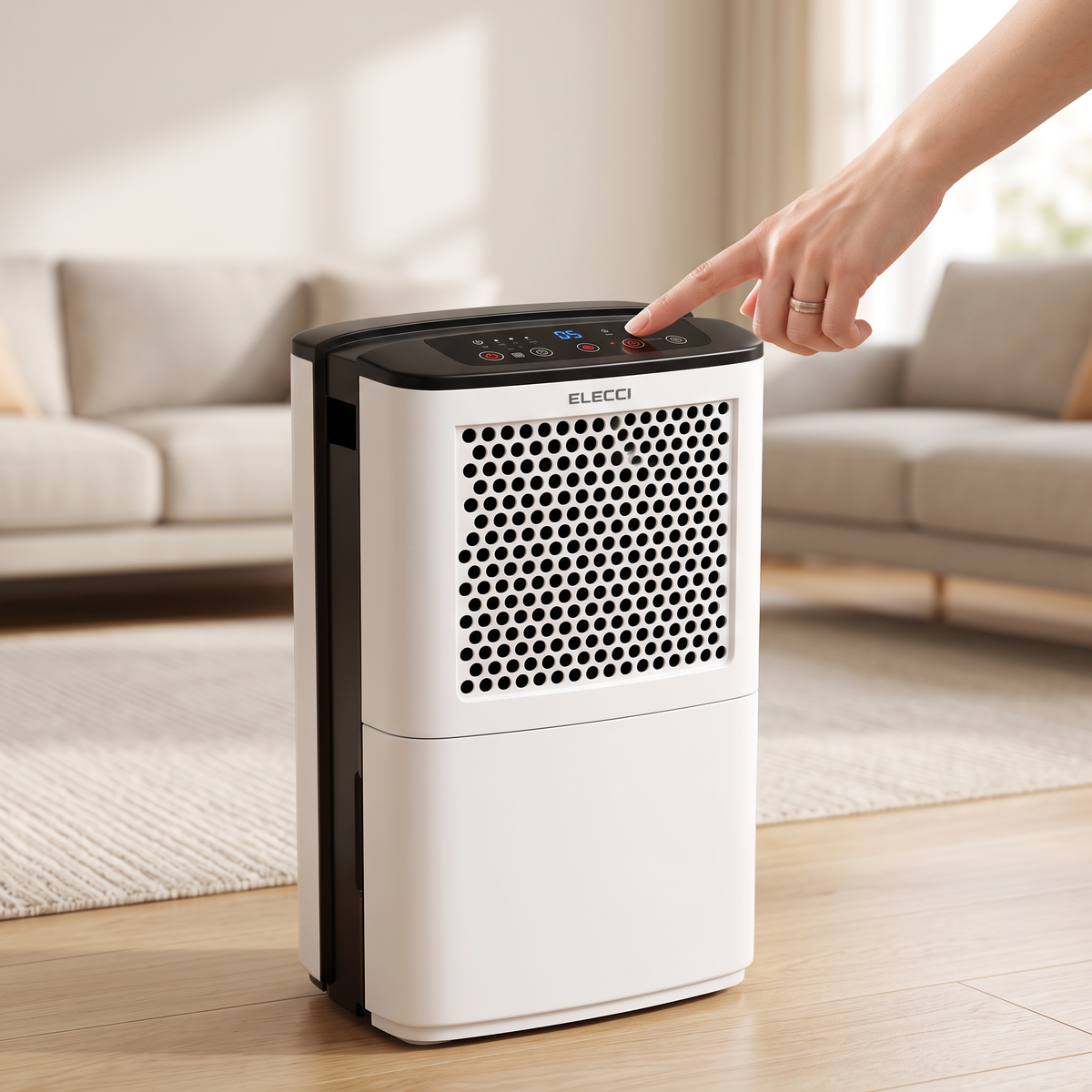 Déshumidificateur compact 12 L — échelle réelle